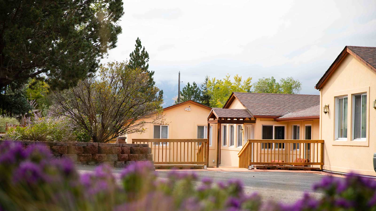 lavender flowers in front of a yellow house with a wooden fence