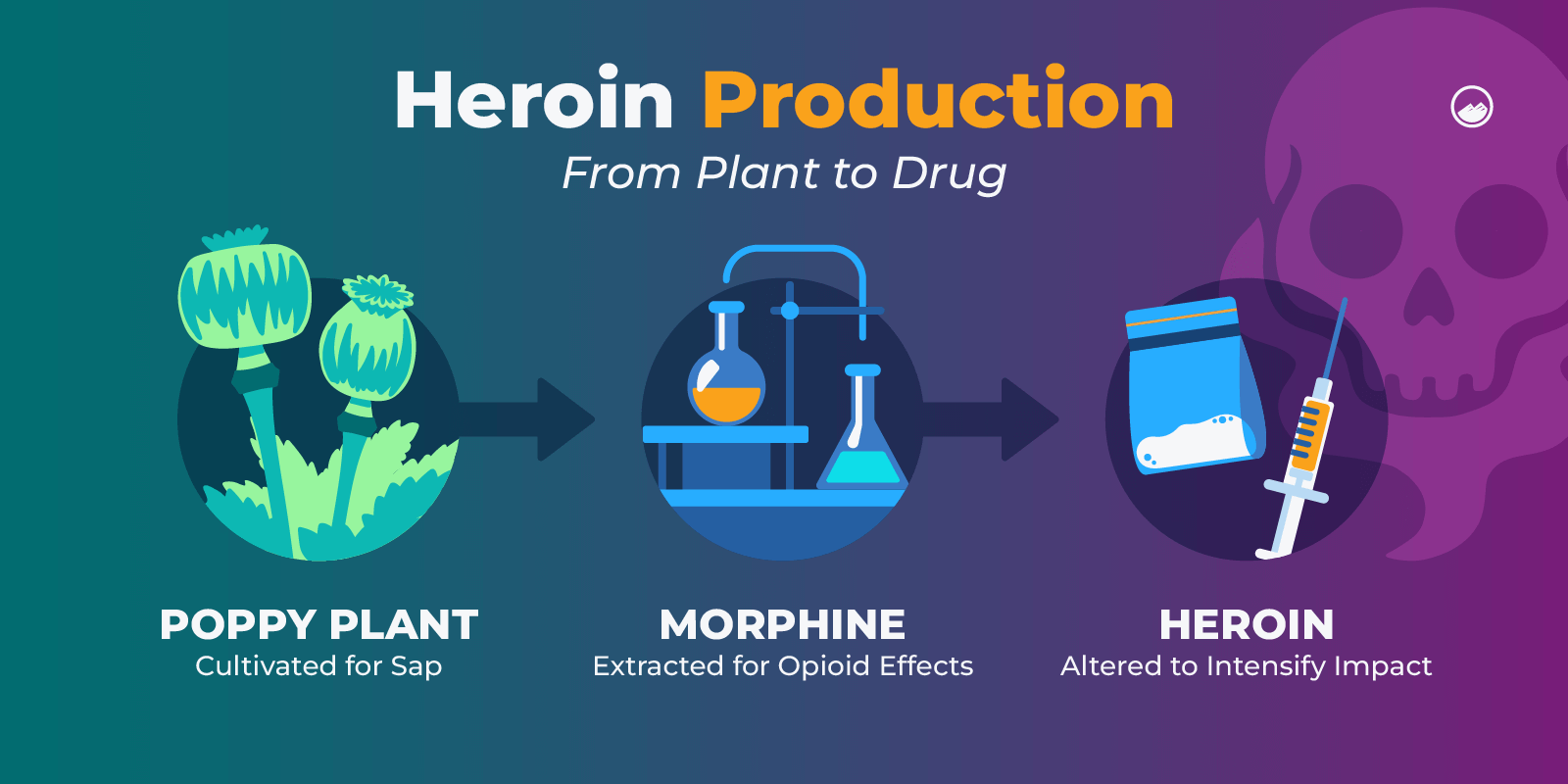 a diagram of how heroin production works