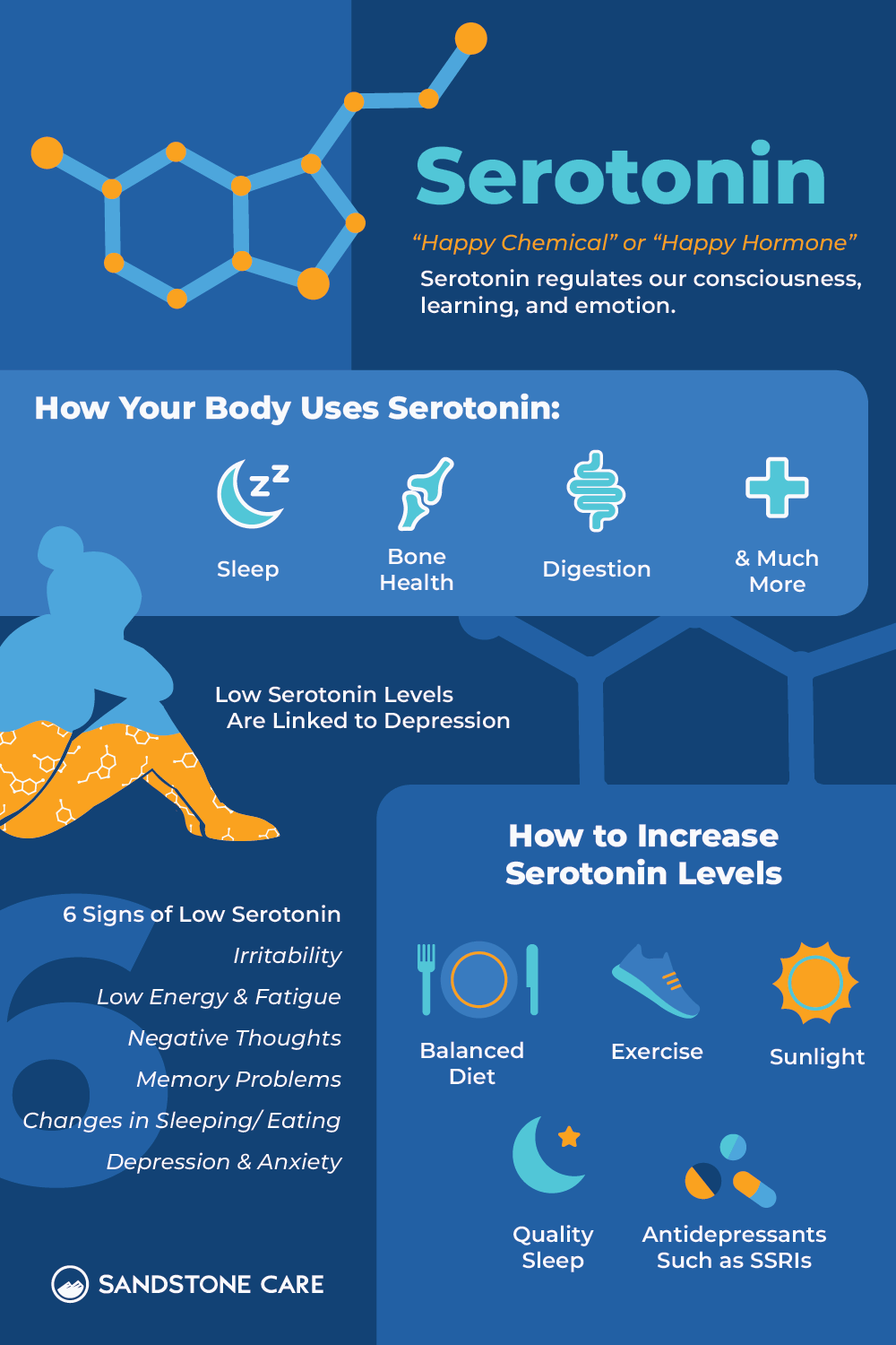 a poster with a diagram of the different types of serotonn