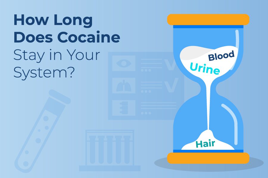 Sandstone Blog Hero Cocaine In System 900×600