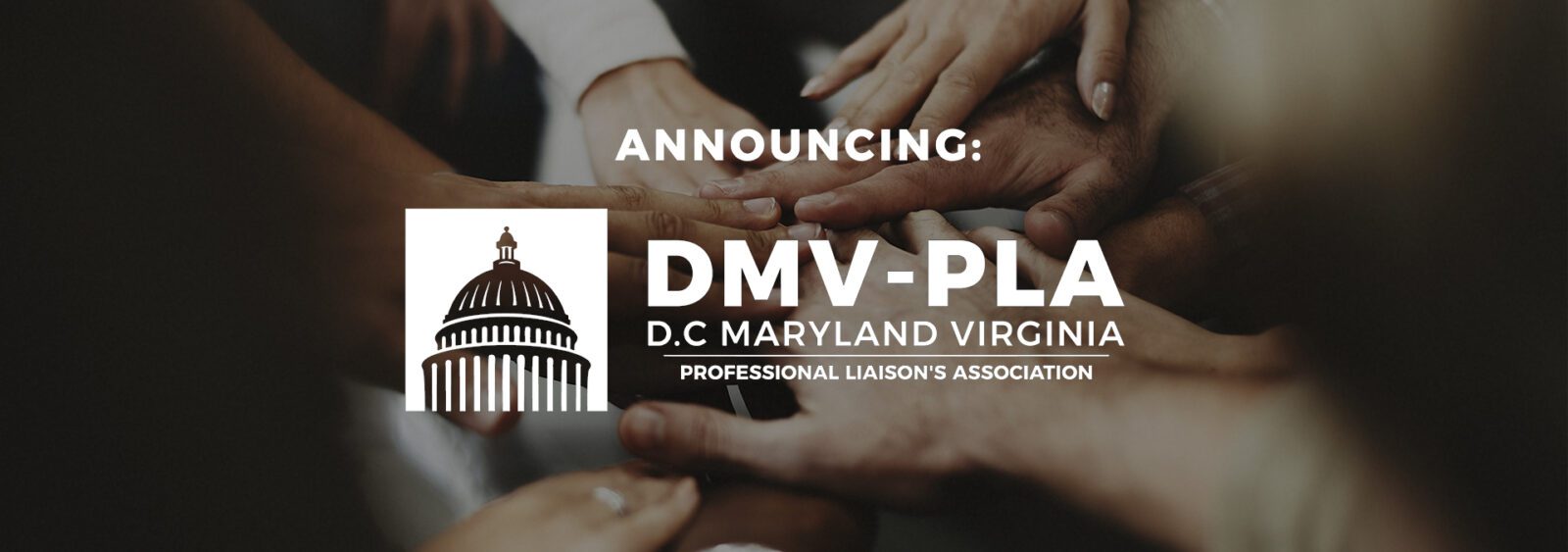 Announcing the DC, Maryland & Virginia Professional Liaison Association