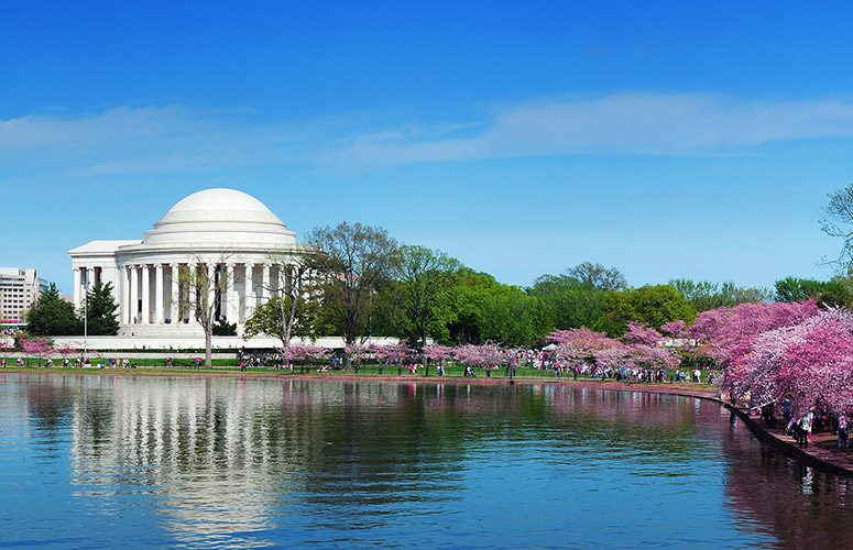 Blog_Local-Maryland-Addiction-Resources