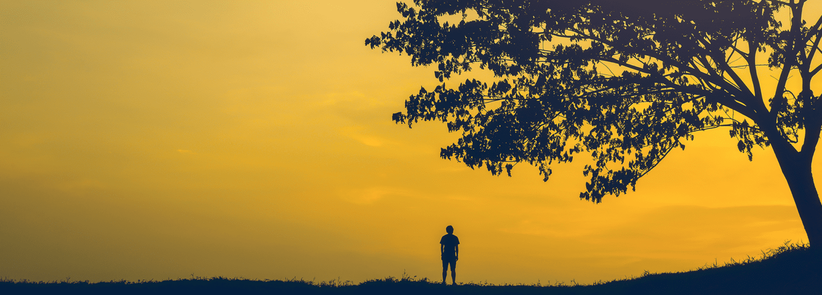 No caption generated