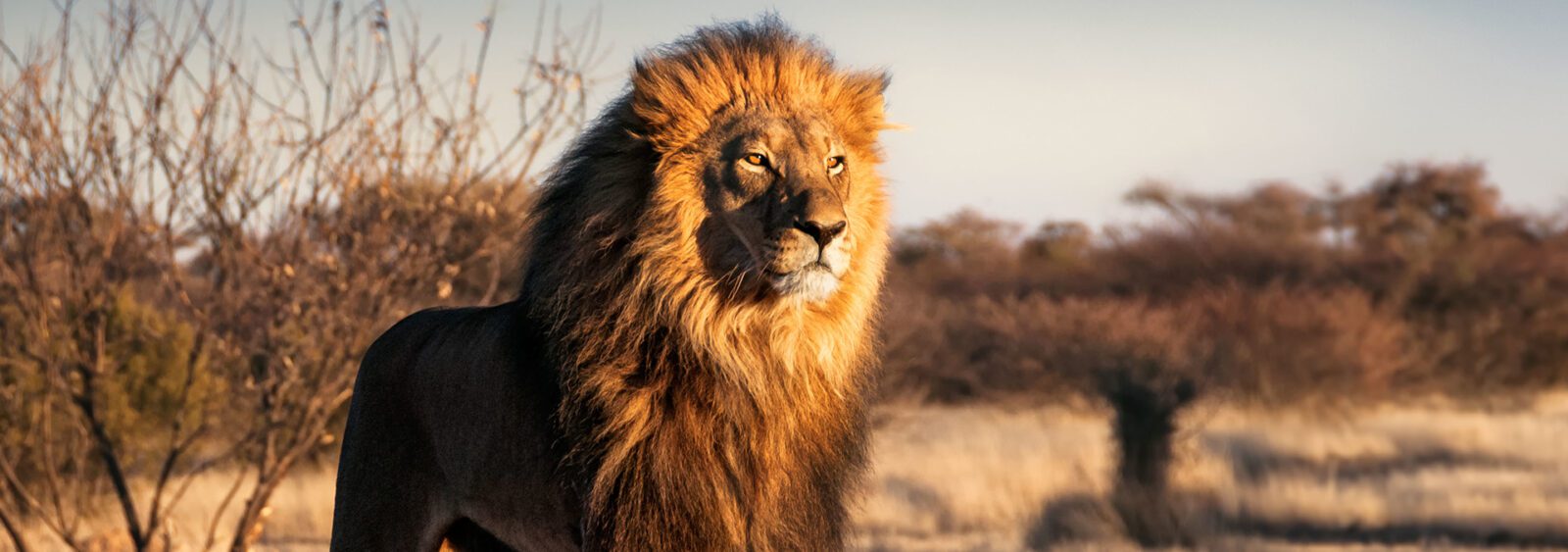 No caption generated