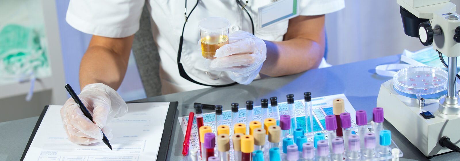 No caption generated