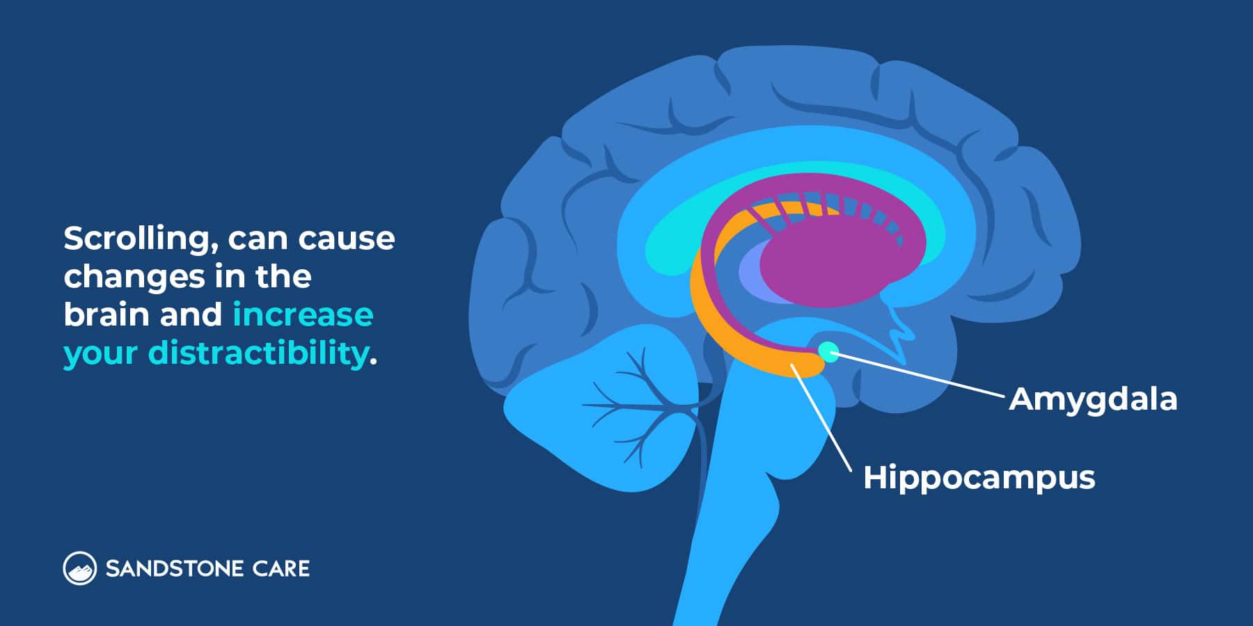 Scrolling can cause changes in the brain and increase your distractibility.