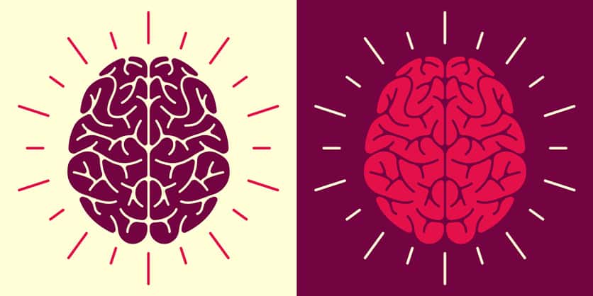 Human Brain Symbol and Icon