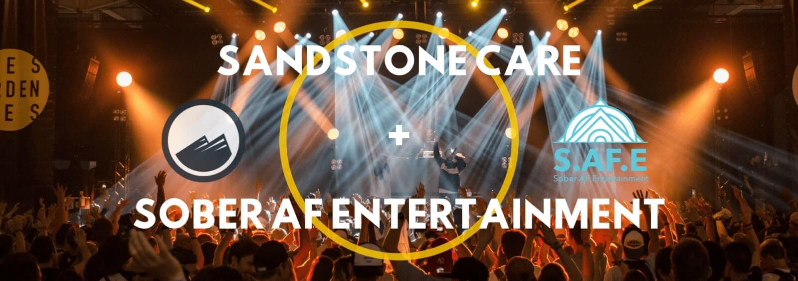 a close up of a concert with a crowd of people