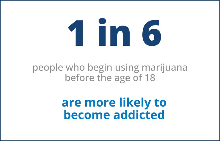 The Effects of Marijuana on Brain Development