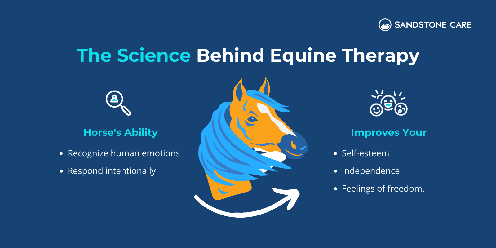 a blue background with a horse ' s head and the words the science behind it