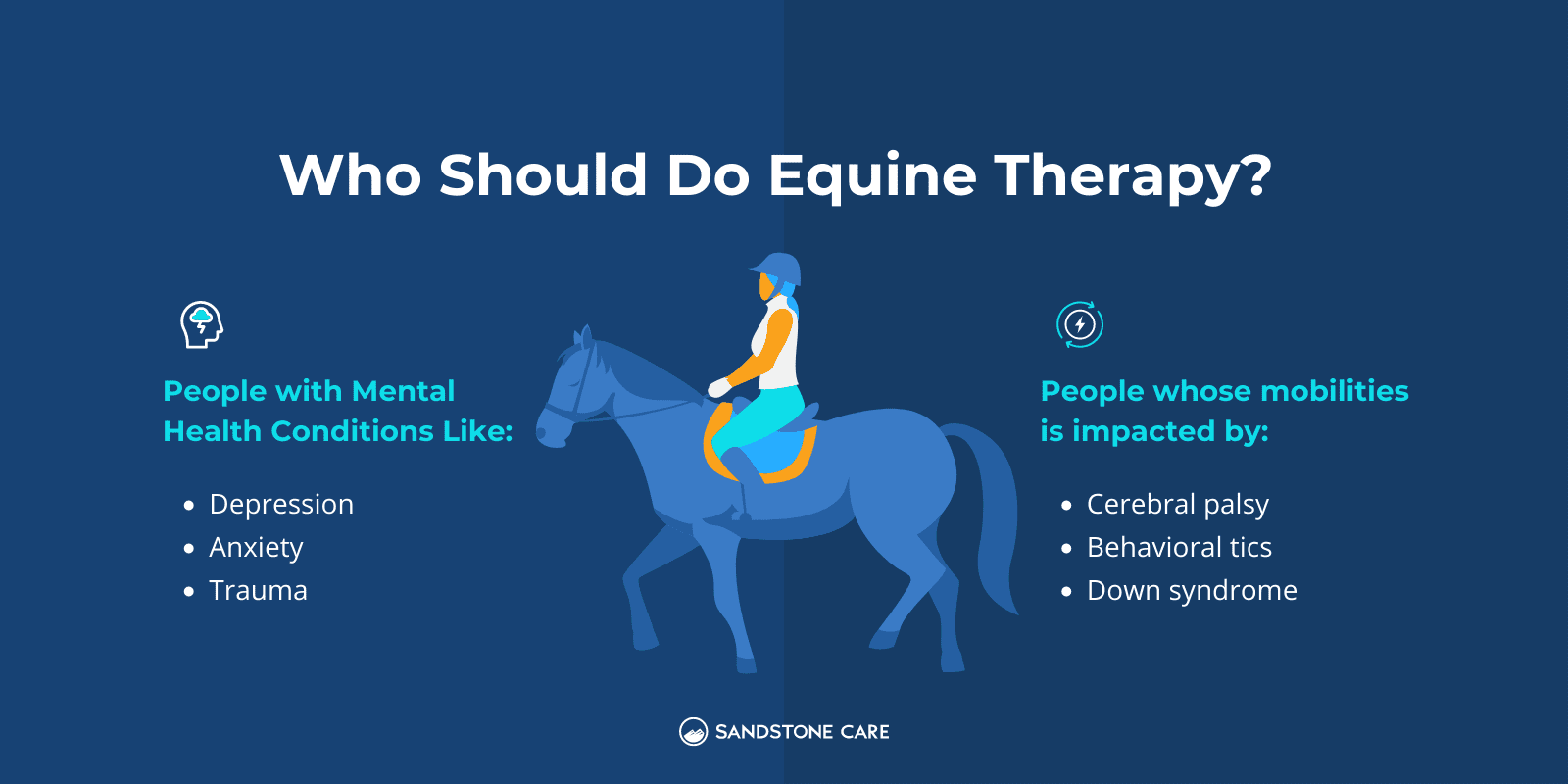a diagram of a person riding a horse with the words who should do equine therapy?