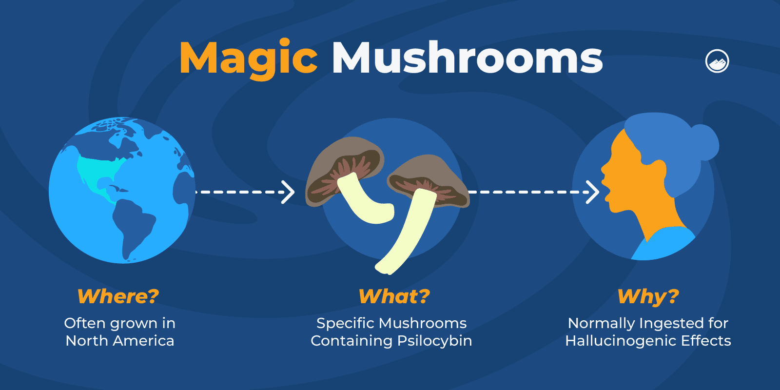 a diagram of the magic mushrooms that are different types of mushrooms