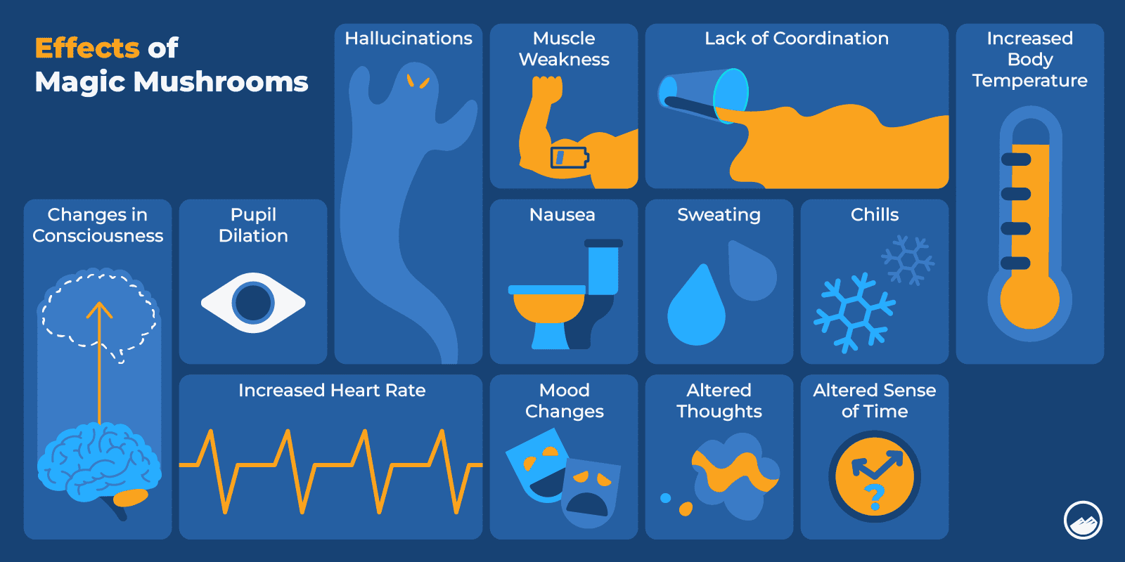 a diagram of the effects of magic mushrooms